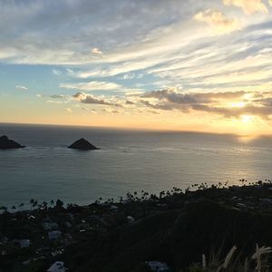 Meet your Posher, Rayne